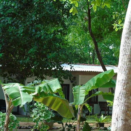 Talalla Coconut Hotel Екстериор снимка