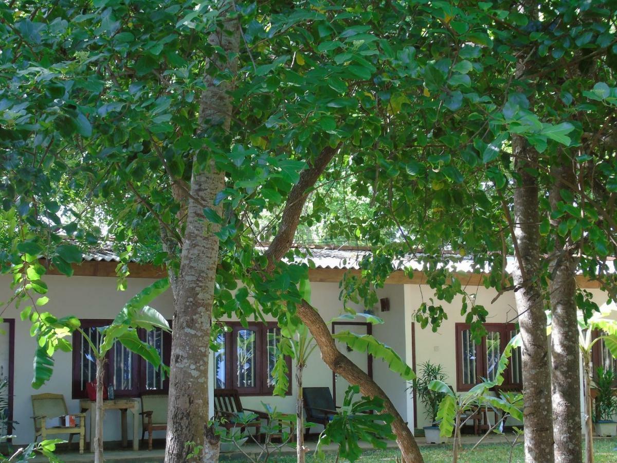 Talalla Coconut Hotel Екстериор снимка