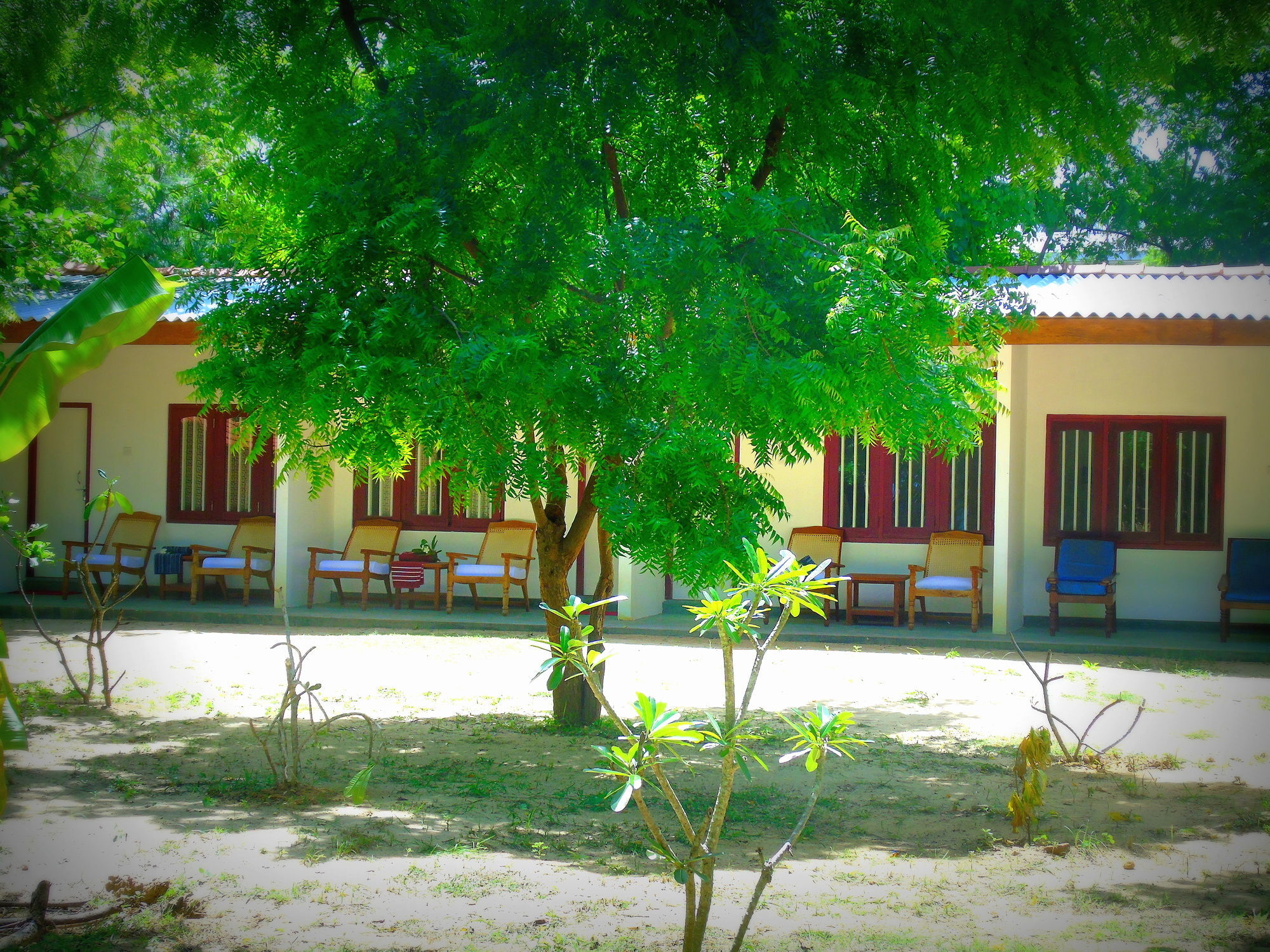 Talalla Coconut Hotel Екстериор снимка
